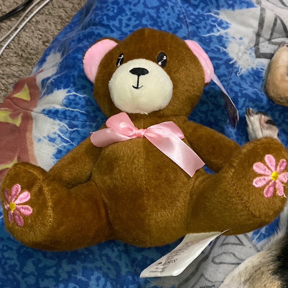Small brown bear